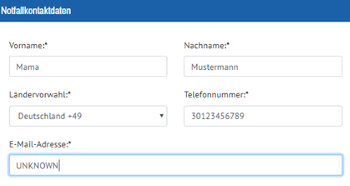 Ausfullhilfe Fur Ihren Esta Antrag